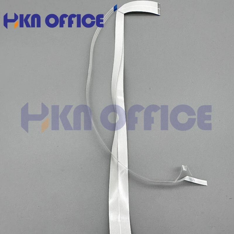 Cable de sensor de cabezal de  - Office Xp reseña y precio
